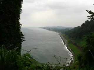 A wooded headland overlooks a long grey shoreline, with the sea stretching into mist.