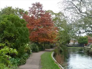 A quiet riverside path with autumn trees and planting, a small bridge and houses farther along the water.