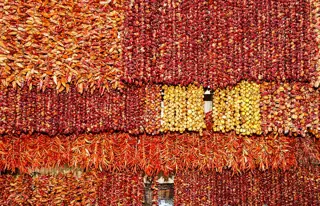 Bundles of red, orange and pale dried peppers hang in dense rows at a market stall.