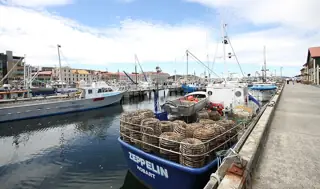A blue fishing boat named Zeppelin carries stacks of round traps beside moored boats and the wharf.