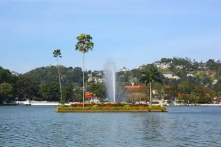 A small island covered in palms and shrubs, reflected in calm water with a fountain jet nearby.
