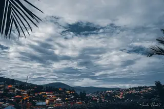 A broad hillside cityscape beneath textured clouds, framed by dark palm leaves.