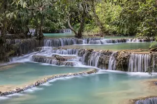 Pale turquoise water spills over low limestone terraces beneath a canopy of green trees.