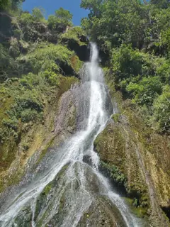 White water descends a tall mossy rock face between dense tropical vegetation, with the lower flow continuing beyond the frame.