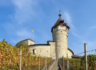 A round stone fortress and tall roofed tower above yellow vines, with straight steps leading up the middle.