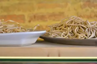 Supporting illustration photographed in Siena: two piles of fresh pasta rest on a plain bowl and metal tray against a softly blurred brick background.