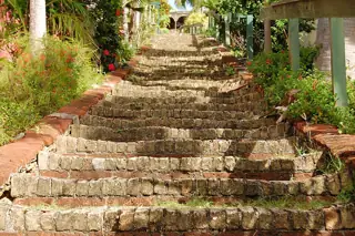 Rough brick steps climb between tropical plants and simple wooden handrails.