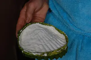 Fresh white cheese in a small green palm-leaf container is held against plain blue cloth.