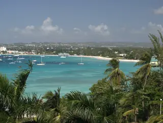 Broad Carlisle Bay in Barbados in January 2011, with boats, distant buildings and foreground palms.
