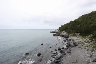 Grey shoreline rocks beside a calm sea and a densely wooded coastal slope.