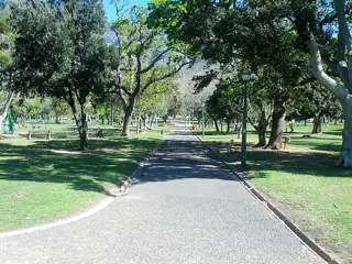 A straight paved path runs between lawns, mature trees and park benches.