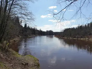 A broad river bend between wooded banks in early spring.