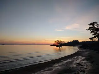Quiet water meets a sandy shoreline beneath a pastel evening sky, with a silhouetted tree near the water.