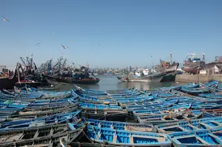 Rows of small blue wooden boats fill the foreground of a fishing harbour, with larger vessels and gulls beyond.