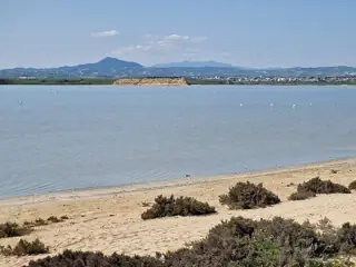 A broad blue-gray lake with tiny pale flamingos, a low scrubby shore and mountains beyond.
