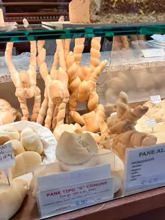 Italian bread illustration photographed in Modena: shaped loaves behind a market counter.