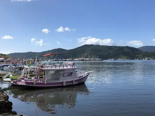 Pink and green moored boats on blue water, with wooded hills across the bay.