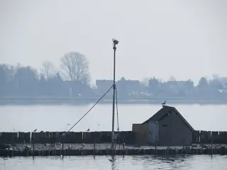 Gulls along a low gravel island with a plain shelter and monitoring pole, across hazy lake water.