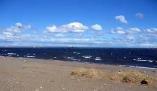 Dry grass and scattered litter edge a sandy shore beside dark blue choppy water, with small distant vessels beneath a clouded blue sky.