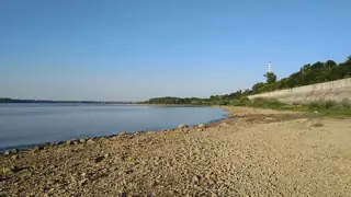 Exposed stones line a broad river beneath blue sky, with a retaining wall and trees on the right.