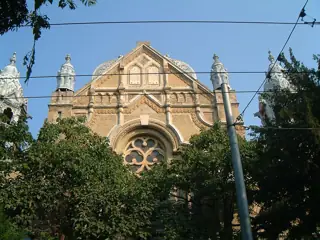 Tree-obscured upper synagogue facade with domes, utility pole and overhead wires.