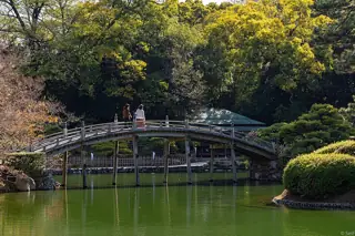 An arched bridge with two visitors crosses a green pond amid autumn trees.