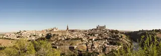 A broad panorama of Toledo’s hilltop buildings, cathedral and Alcázar above the Tagus valley, with shrubs in the foreground.