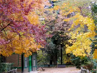 Yellow and orange autumn trees above a green lattice pavilion, rustic branch-like railings and a park path.
